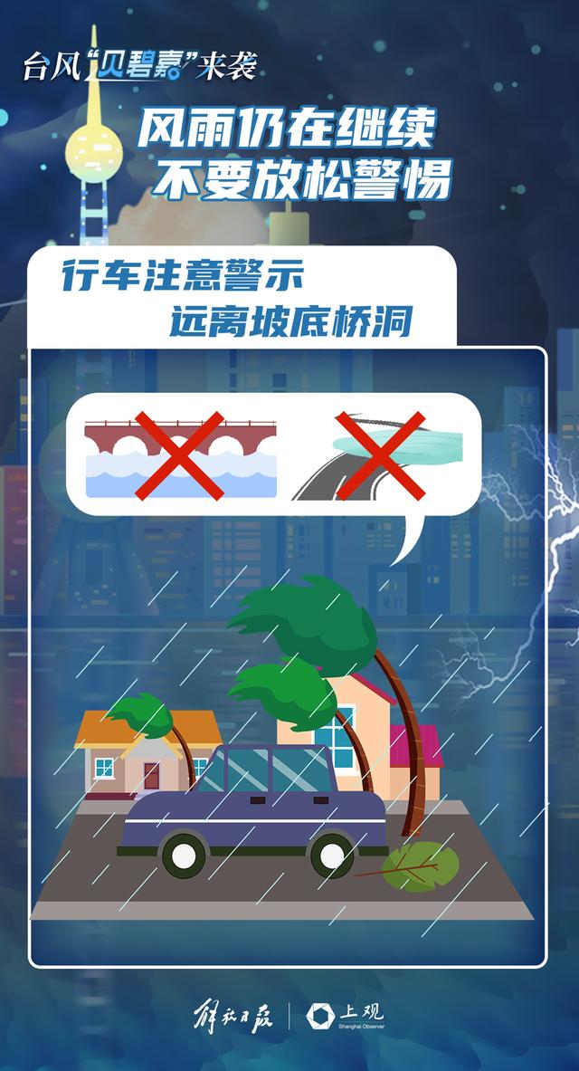 2024新奥门天天开好彩大全85期,警惕网络赌博风险，远离新奥门天天开好彩的诱惑