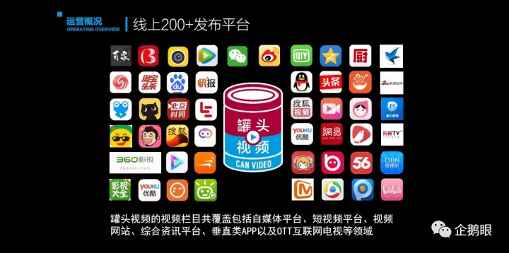 7777788888王中王中特,探究数字组合背后的故事，王中王中特与数字77777与数字88888的奥秘