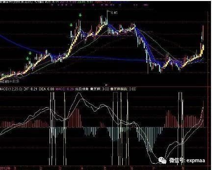 777778888精准跑狗,精准跑狗，探索数字世界中的秘密宝藏——77777与88888的魅力