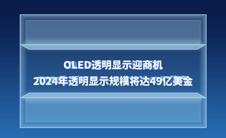 2024年12生肖49码图,揭秘2024年十二生肖与49码图的神秘关联