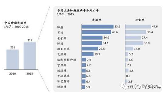 2024香港内部最准资料,揭秘香港内部最准资料，深度解读香港未来趋势与发展蓝图