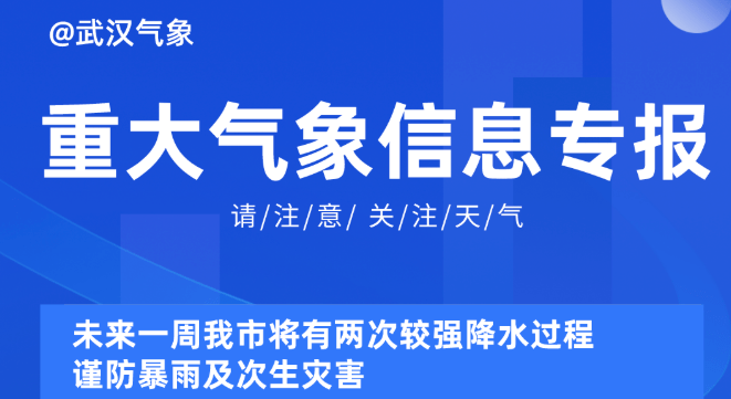 新奥精准资料免费提供510期,新奥精准资料免费提供510期，深度挖掘与探索