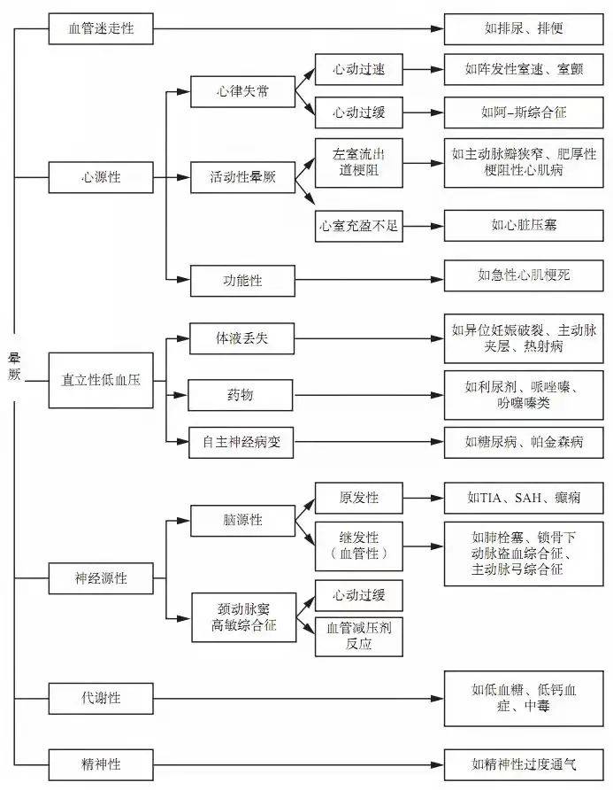 2025年1月19日